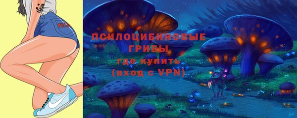 ECSTASY Коряжма